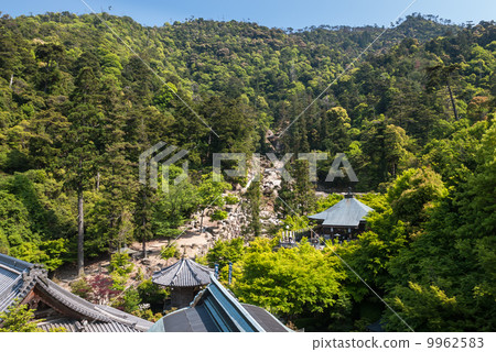 The cathedral 9962583