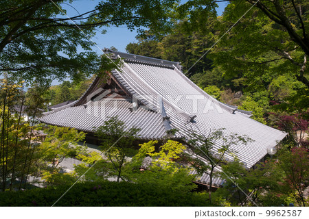 The cathedral The cathedral 9962587