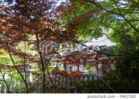 The cathedral 9962588