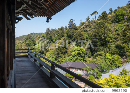 The cathedral 9962590