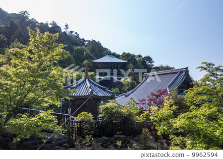 The cathedral 9962594