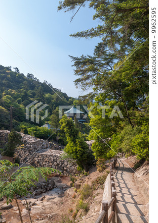 The cathedral 9962595