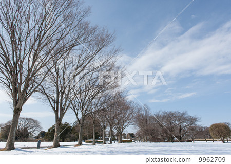 Winter scenery 9962709
