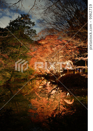 Late regener of Rokugien Late regener of Rokugien 9962719