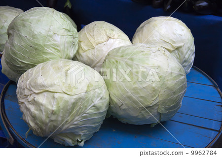 Cabbages Cabbages 9962784