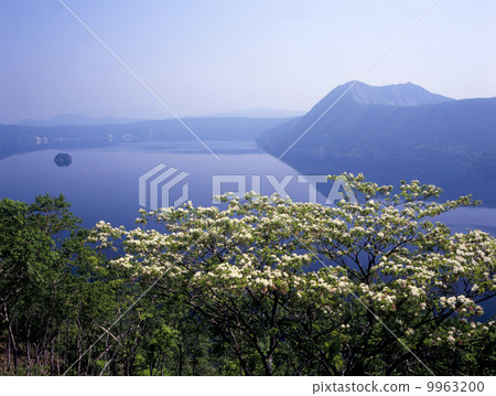 Hanasaki Mu Maku 9963200