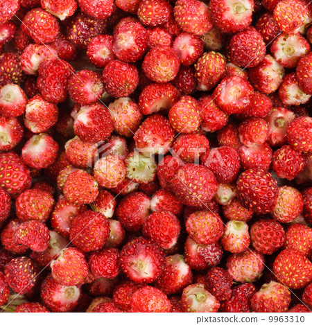 Cleaned Wild Strawberries Background Cleaned Wild Strawberries Background 9963310