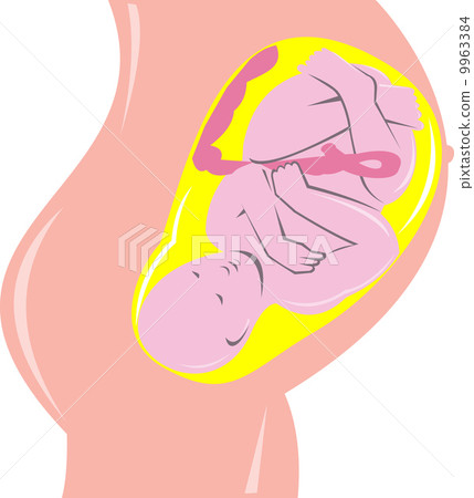 human fetus inside womb 9963384
