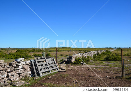 The old wooden gate at a swedish farmland 9963584