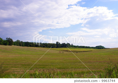 捷克，大草原和天空 9963744