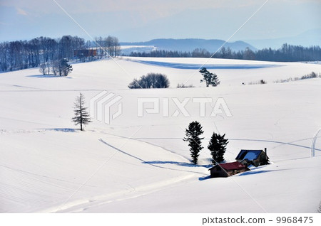 Biei · Red roof house 9968475