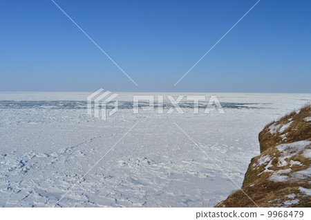 Nogi Cape and Drift ice 9968479