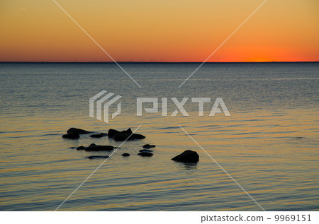 Orange evening 9969151