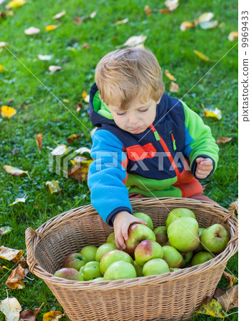 Little toddler boy eating apple Little toddler boy eating apple 9969433