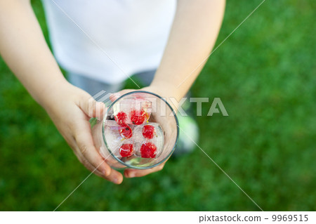 Glass of berry ice cubes holding by a child Glass of berry ice cubes holding by a child 9969515