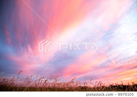 日落在Kiritappu海角(北海道厚岸郡濱中町) 日落在Kiritappu海角(北海道厚岸郡濱中町) 9970105