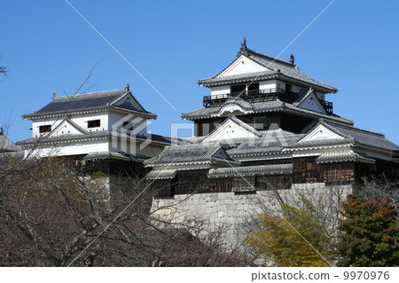 在藍天的松山城堡 9970976