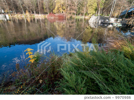 Reflection of colorful autumn trees in calm lake Reflection of colorful autumn trees in calm lake 9970986