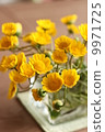 Yellow flowers 9971725