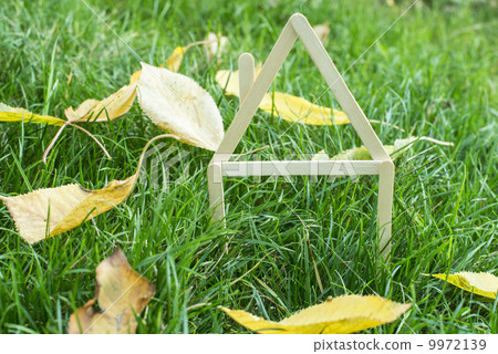Model house made on green grass Model house made on green grass 9972139