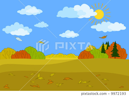 Autumn forest landscape Autumn forest landscape 9972193