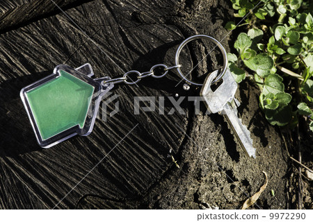 Keychain in a shape of house Keychain in a shape of house 9972290