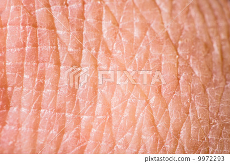 Texture of human skin Texture of human skin 9972293