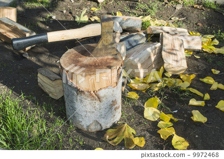 Ax chopping wood on chopping block 9972468