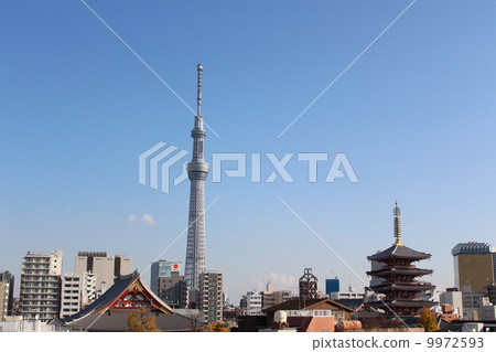 Asakusa Temple Sky Tree and five-storied pagoda 9972593