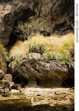 Karst limestone cave structure of tropical beach 9972850