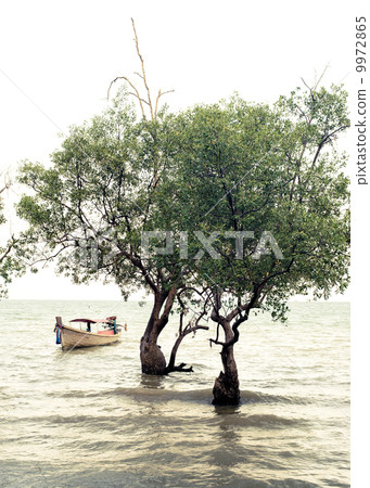 Tropical beach view in vintage style. Thailand 9972865