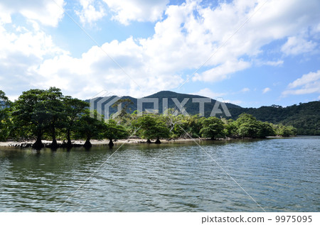 Tropical river view 9975095