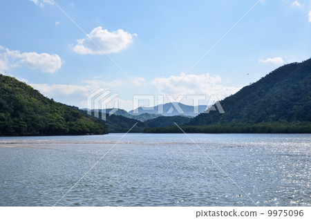 Tropical Jungle River 9975096