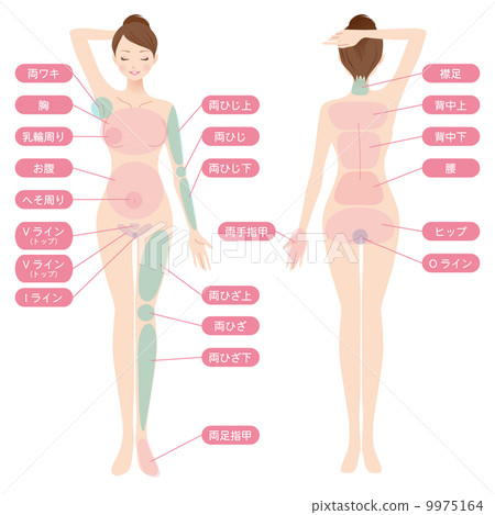 女性美裸體裸體 女性美裸體裸體 9975164