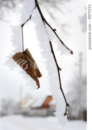 Winter landscape Winter landscape 9975551