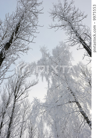 Winter landscape Winter landscape 9975553
