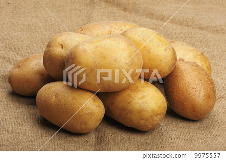 Potatoes on a sacking 9975557