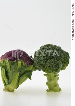 Purple cauliflower and broccoli Purple cauliflower and broccoli 9975696