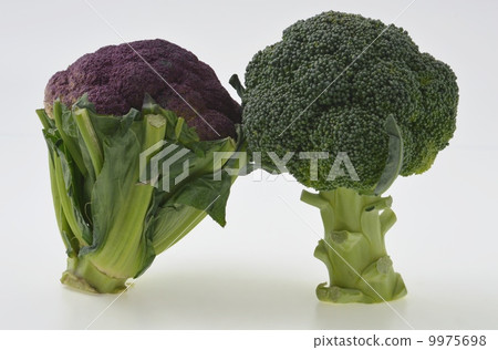 紫色花椰菜和西蘭花 9975698