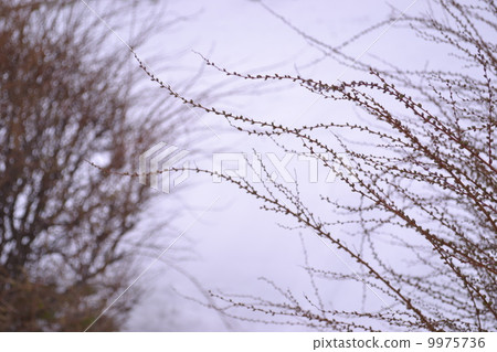 流媒體建築 9975736