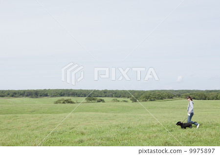寵物平塗的獵犬 寵物平塗的獵犬 9975897