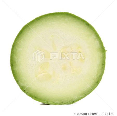 Fresh vegetable marrow. 9977120