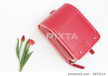 School bag and tulip School bag and tulip 9978114