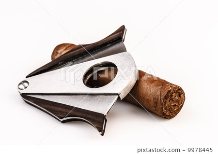 Cigar and cutter on a white background 9978445