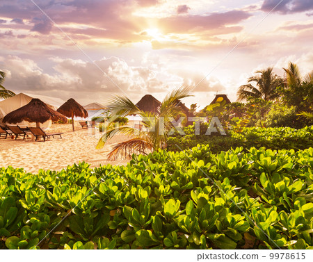 Tropical beach Tropical beach 9978615