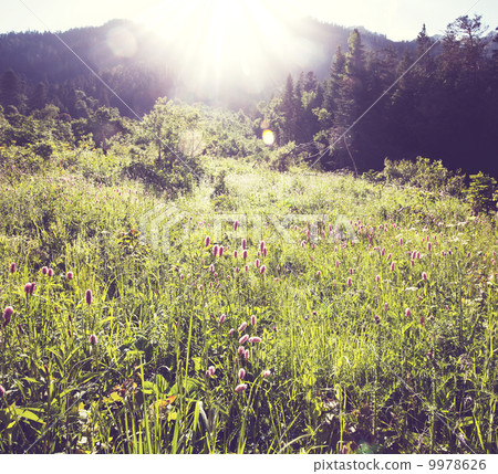Mountains meadow Mountains meadow 9978626