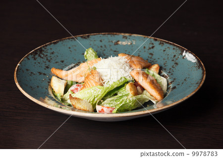 grilled salmon 9978783