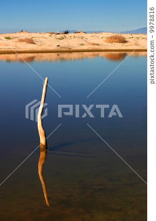 Stick In The Water Stick In The Water 9978816