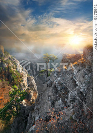 Fog in the mountains Fog in the mountains 9978941