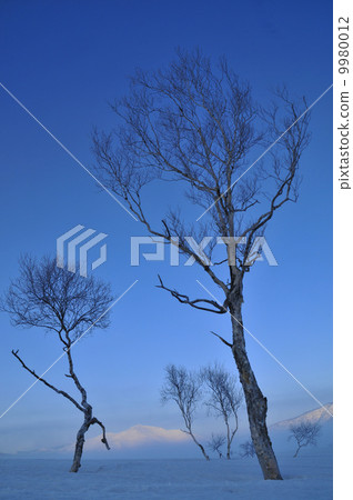 佛山在早春 佛山在早春 9980012